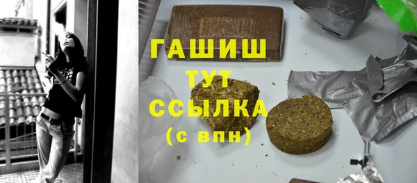 индика Абаза