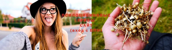 мяу мяу мука Алексин