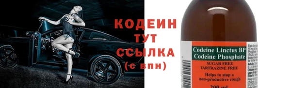 индика Абаза