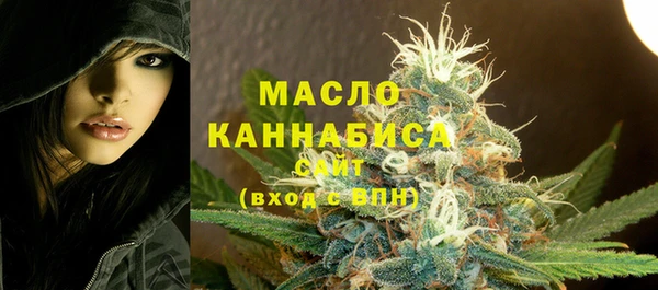 индика Абаза