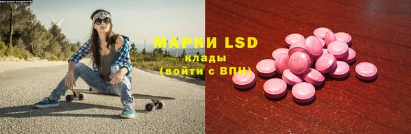 индика Абаза