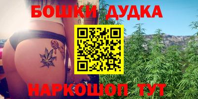 дмт Партизанск