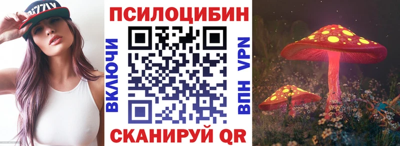 Псилоцибиновые грибы Psilocybe  Ухта 