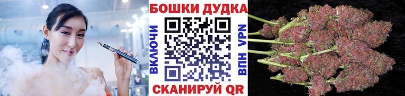 Бошки Шишки MAZAR  Ухта 